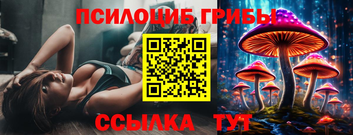 Галлюциногенные грибы MAGIC MUSHROOMS Евпатория
