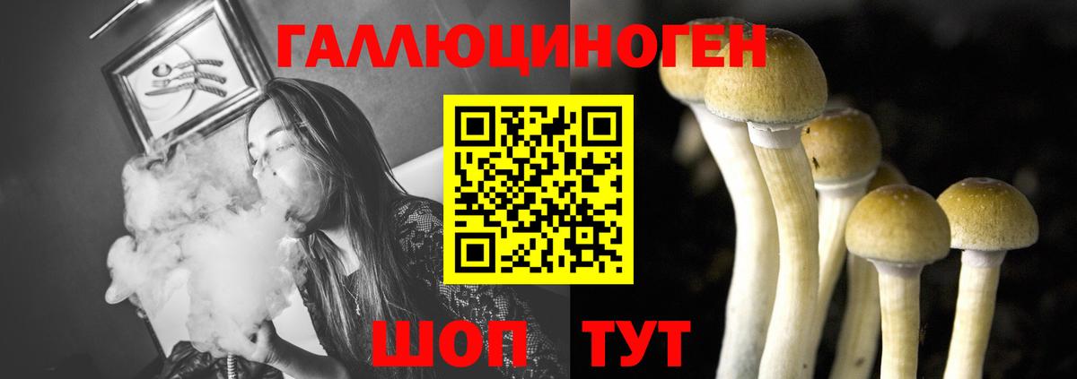 Евпатория  Галлюциногенные грибы Magic Shrooms  Вход с VPN 